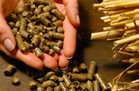 free Rhicullen biomass boiler quotes